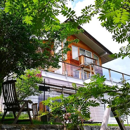 Ferienwohnung HÖLLWART - exclusiv, top Lage, Panoramablick Bischofshofen Exterior foto