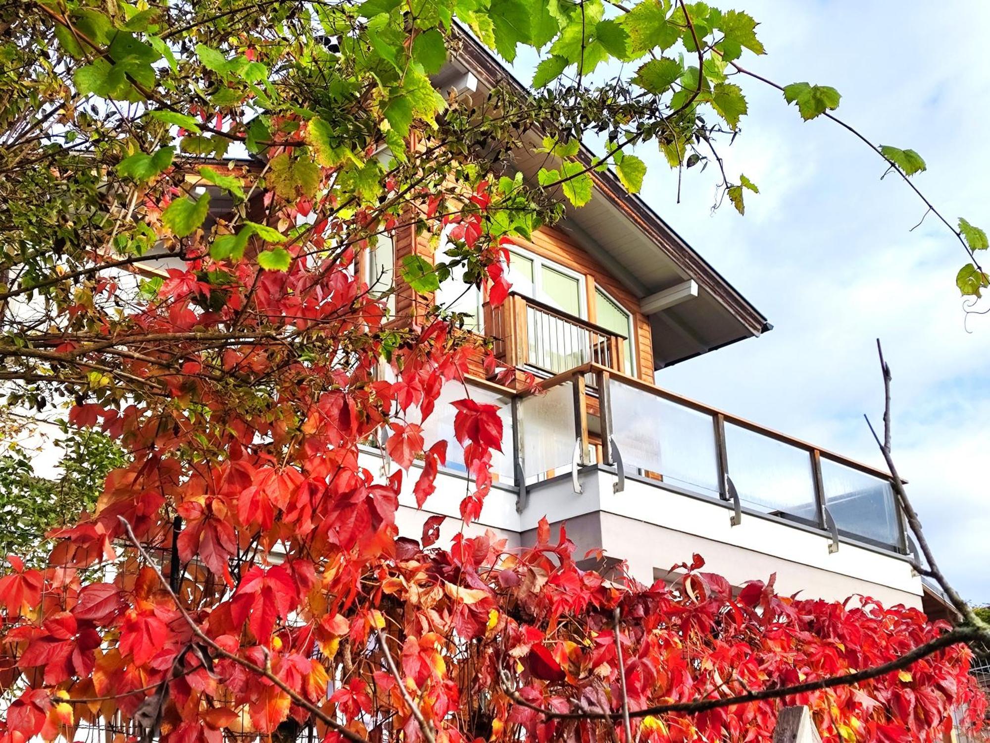 Ferienwohnung HÖLLWART - exclusiv, top Lage, Panoramablick Bischofshofen Exterior foto